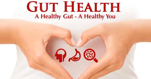 Gut Health And Hypnotherapy: A Unique Approach